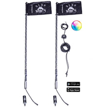 Load image into Gallery viewer, WH-1871P
2X 187 LED WHIPS (1 PAIR)