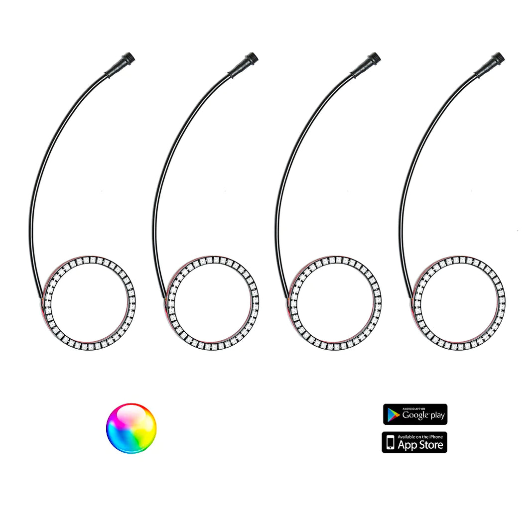 WH-2004
187 STYLE YXZ HALOS WITH CONTROL HARNESS